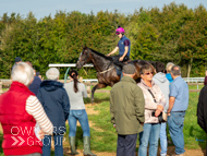 FOB071023-66 - Fergal O'Brien Stable Visit